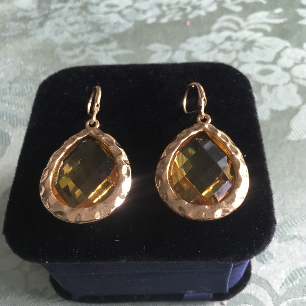 NEW Susan Graver Fashion Crystal Earrings